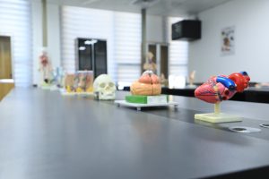 جامعة الشعب | مختبر الكيمياء الحياتية